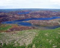 How the Tłı̨chǫ People Came to Be