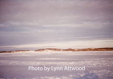 AAS_2016_0349_WK1985