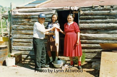 AAS_2016_0350_WK1987