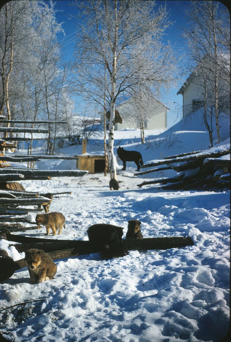 St. Michael’s Parish One