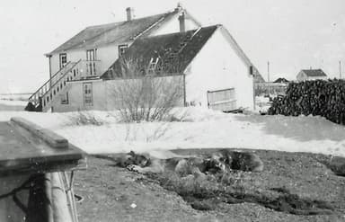 Photo 11.01 - Unknown - Unknown